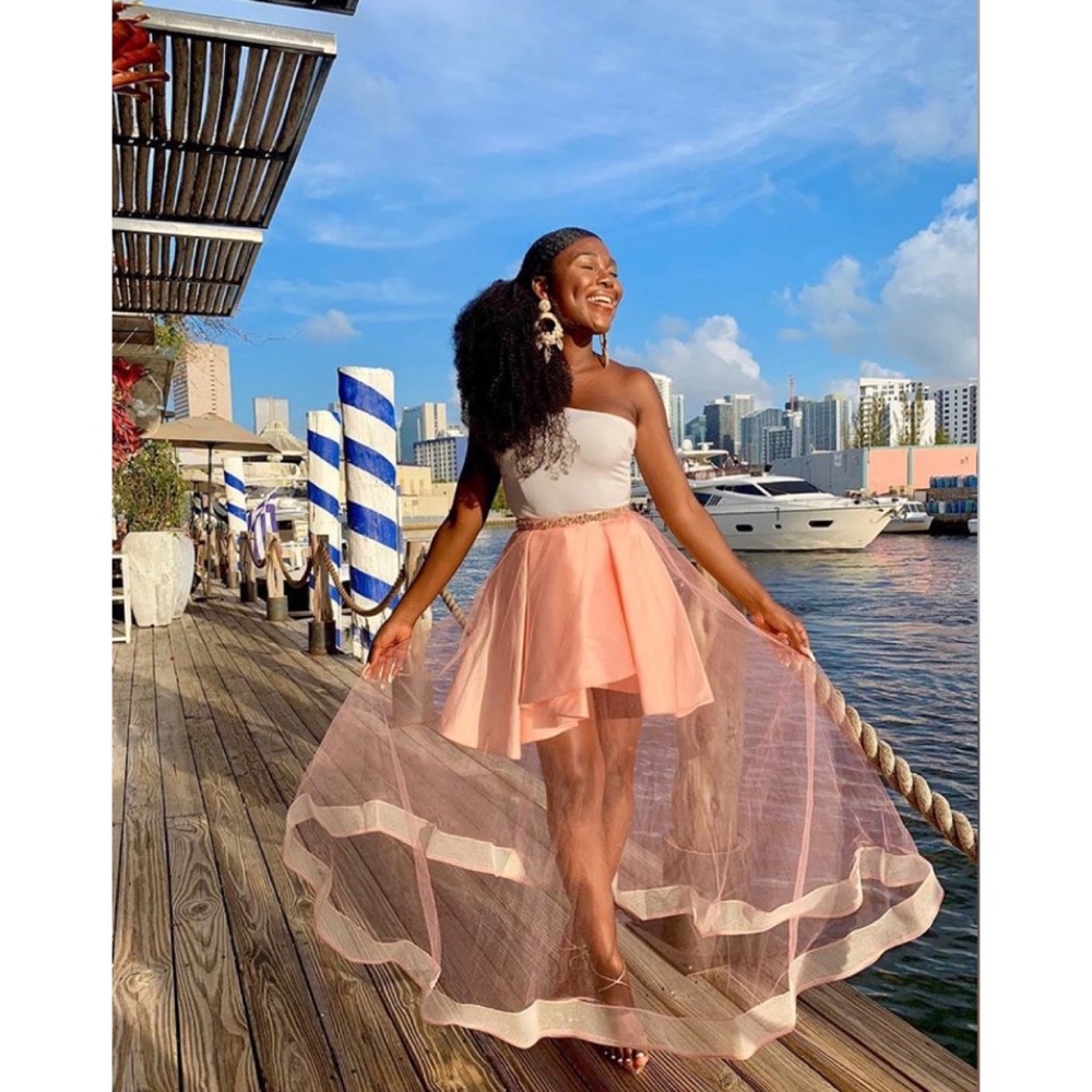 Layered Sheer Pink Tulle Skirt